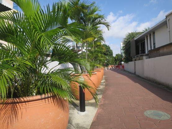 c0212604_2151658.jpg