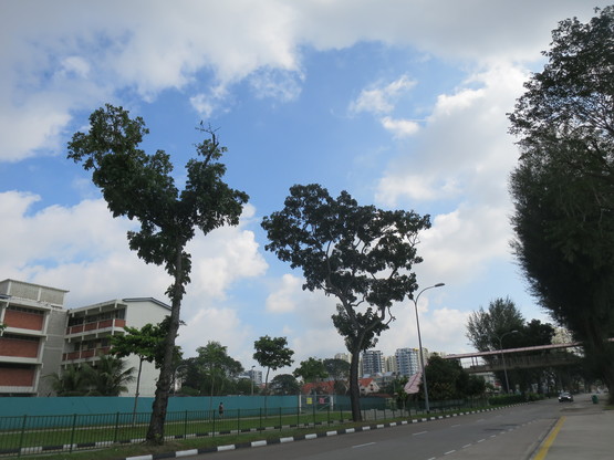 c0212604_2210179.jpg