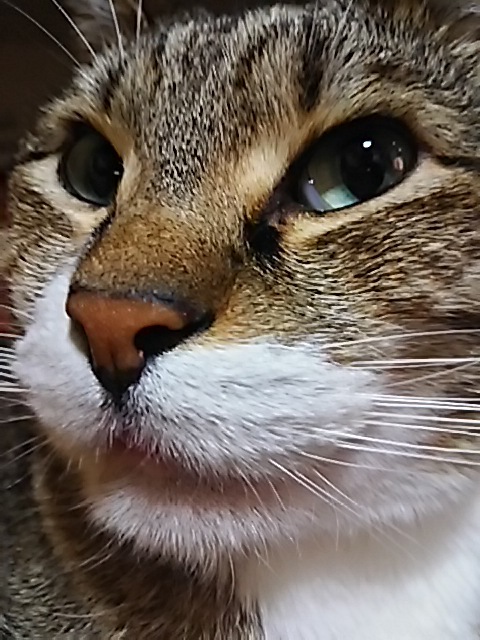 f0316507_17330102.jpg