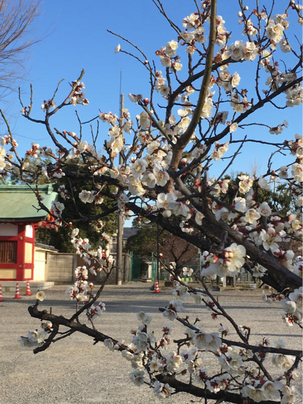 c0134408_22450118.jpg