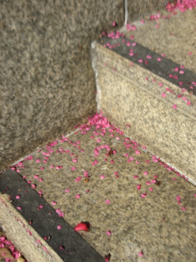 c0062511_23384991.jpg