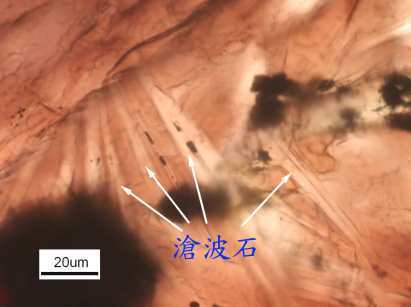a0019212_20102355.jpg
