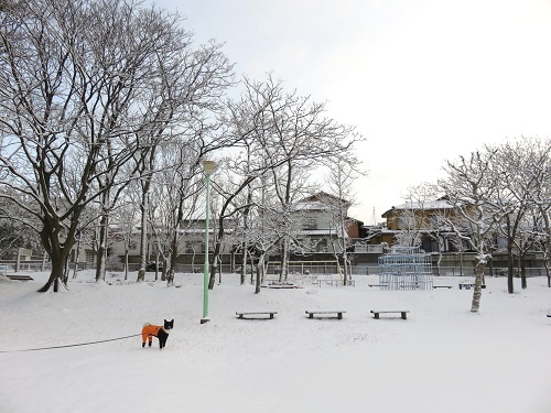 c0084117_2082760.jpg