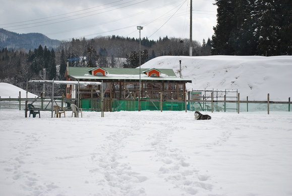 a0226620_2249549.jpg