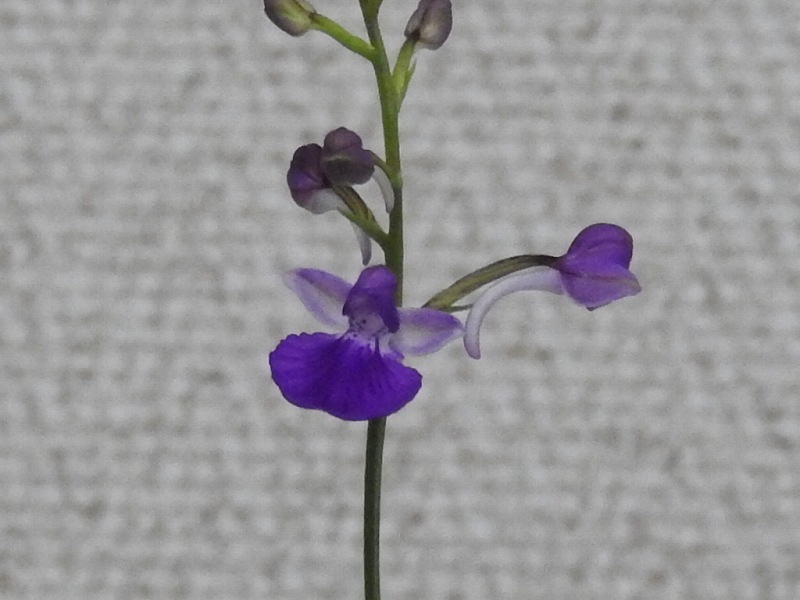 e0362222_22115083.jpg