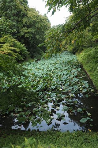 b0042334_17441170.jpg