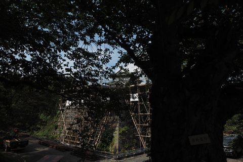 b0042334_17443384.jpg
