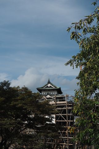 b0042334_17444452.jpg