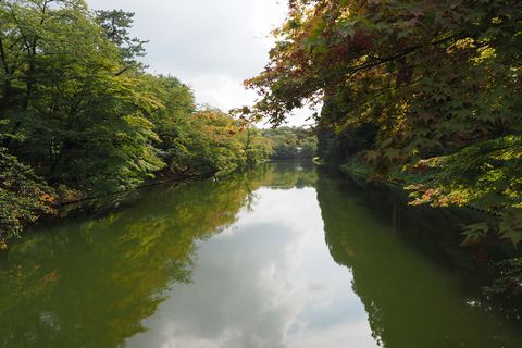 b0042334_1744517.jpg