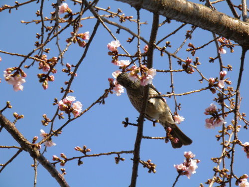 c0338136_16200250.jpg