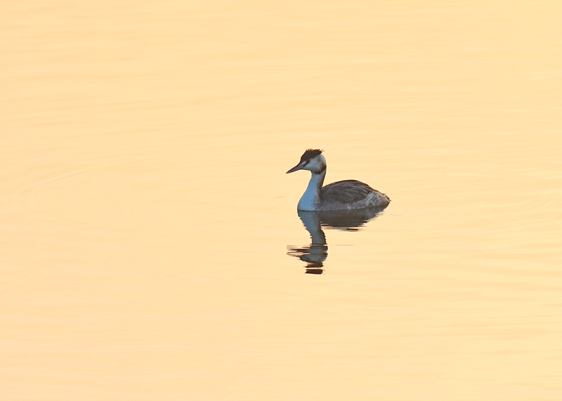 d0290240_19044924.gif