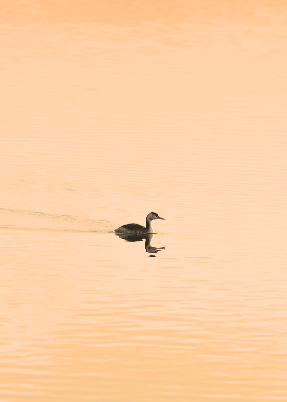 d0290240_19061677.gif