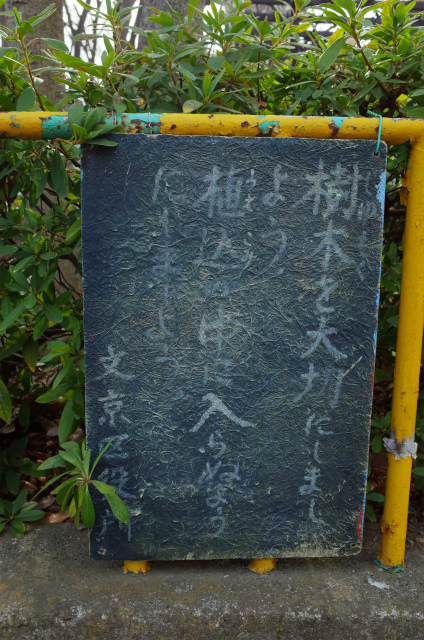 a0087341_12424016.jpg