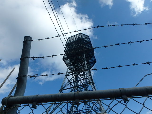 f0334143_100591.jpg