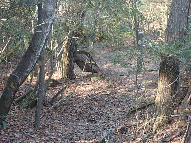 f0334143_1031978.jpg