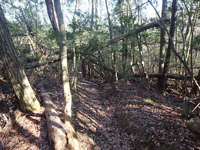 f0334143_1035544.jpg