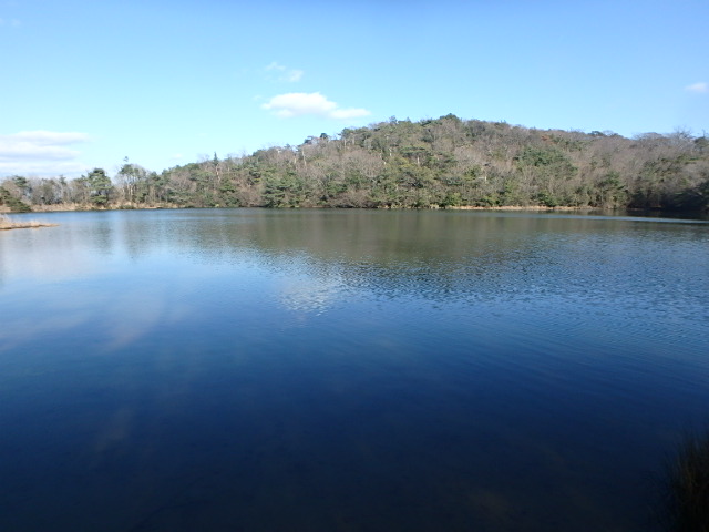 f0334143_1063883.jpg