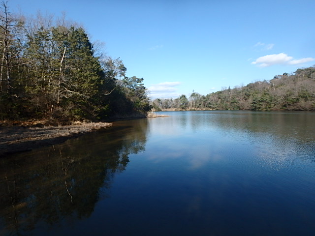 f0334143_1065445.jpg