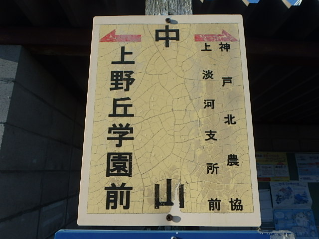 f0334143_1075048.jpg