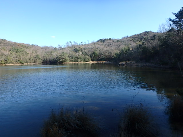 f0334143_107521.jpg