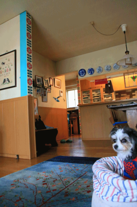 c0145250_09375004.gif