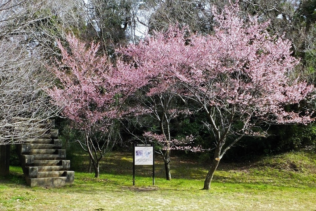 b0236251_10435723.jpg