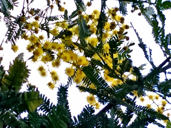b0181457_10543552.jpg