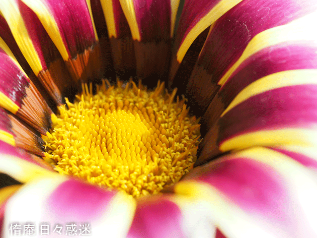 e0346064_19171647.gif