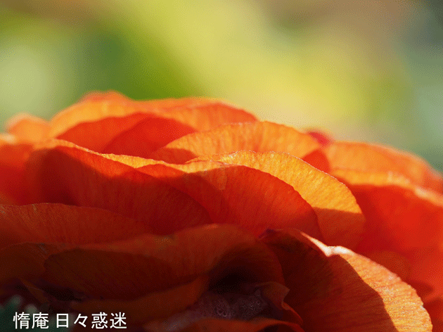 e0346064_19171789.gif