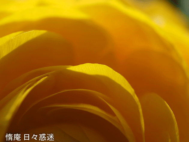 e0346064_19171797.gif