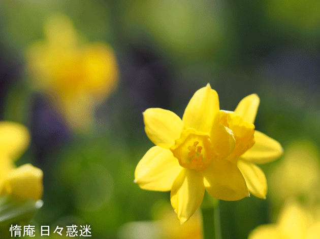 e0346064_19300349.gif