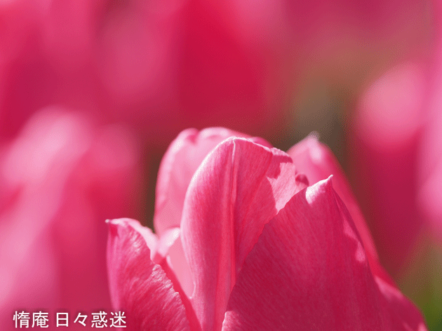 e0346064_19300375.gif