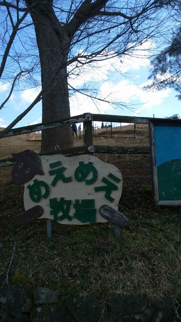 f0374164_1527117.jpg