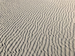 d0169566_14350161.jpg