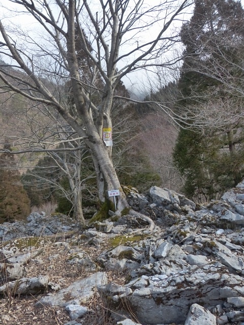 f0357487_22581686.jpg