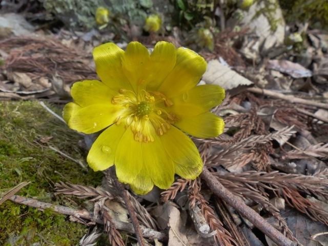 f0357487_22595953.jpg