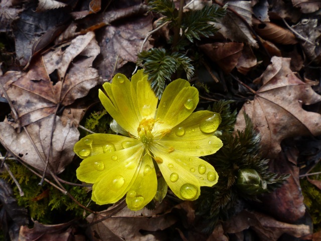 f0357487_23011457.jpg