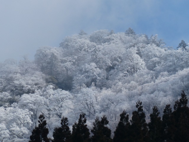 f0357487_23072320.jpg