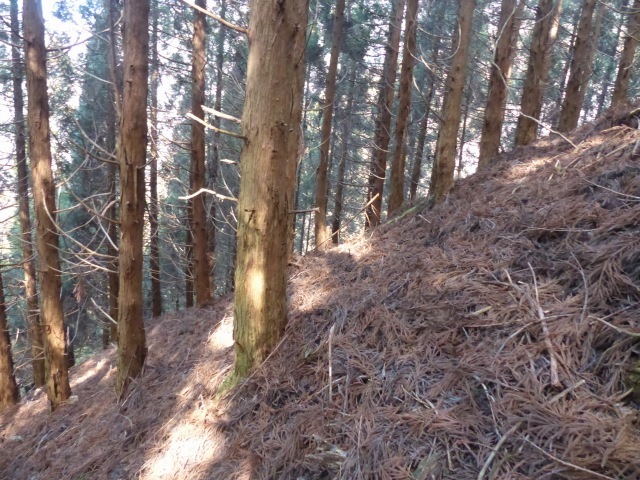 f0357487_23131735.jpg