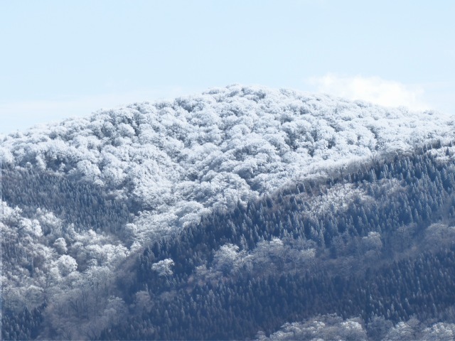 f0357487_23183006.jpg