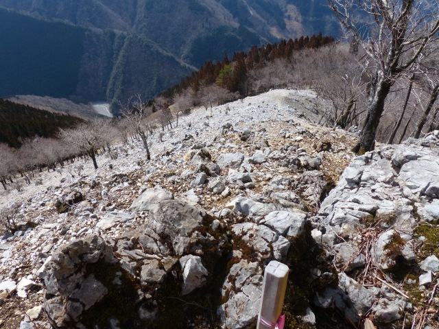f0357487_23292924.jpg