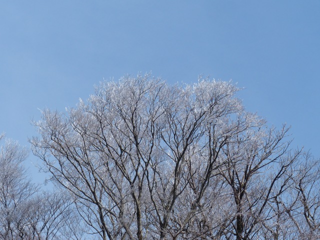 f0357487_23321080.jpg