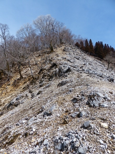 f0357487_23330221.jpg