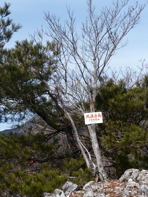 f0357487_23334047.jpg