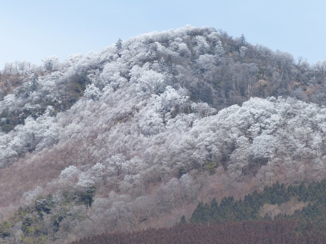 f0357487_23394055.jpg