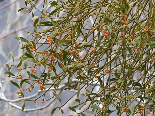 f0357487_23481064.jpg