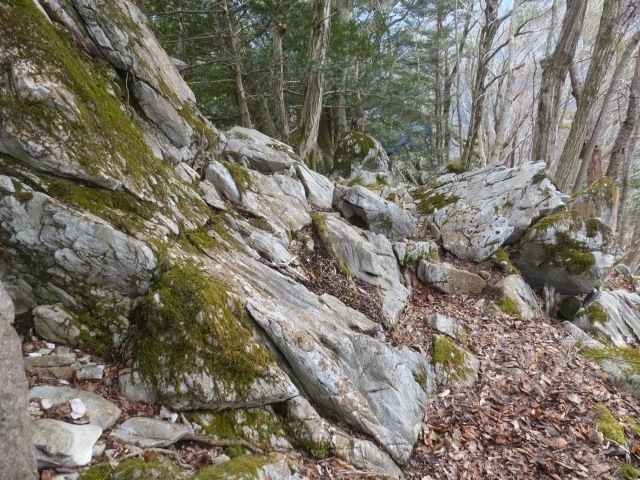 f0357487_23491882.jpg