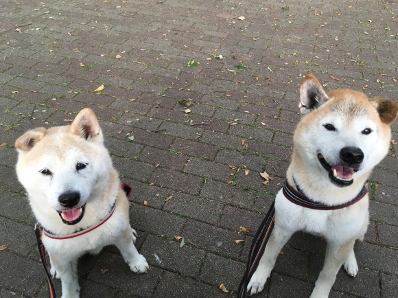 c0123890_20541516.jpeg