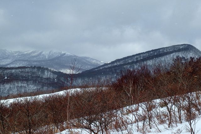 e0137200_16302412.jpg
