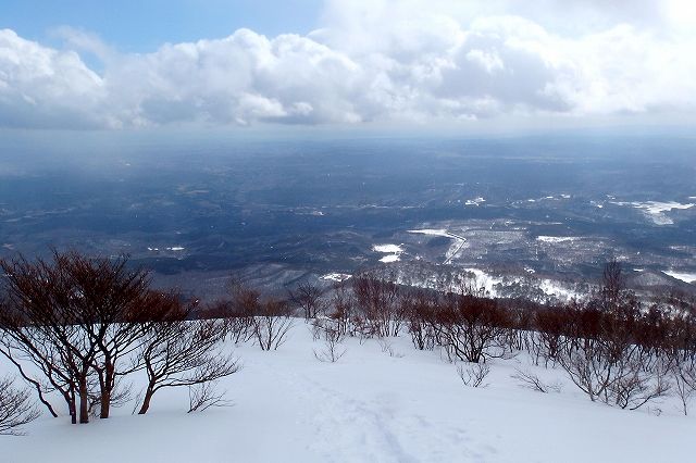 e0137200_16311115.jpg